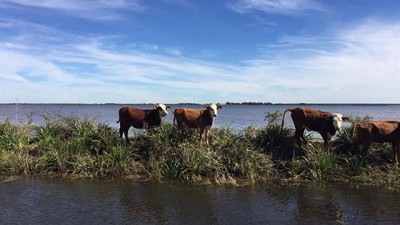 Cuáles son las regiones más comprometidas por el avance del agua
