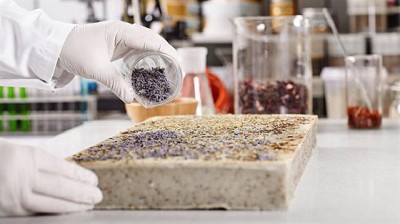 Los fertilizantes del futuro: con más rinde y cuidado del ambiente