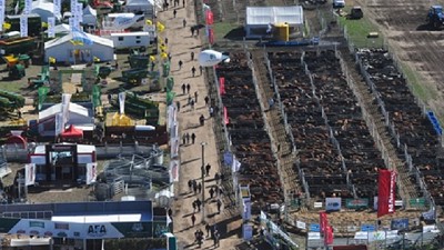 Exposición, juras, remates, talleres y charlas en el sector ganadero de AgroActiva