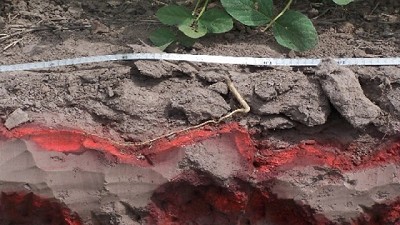 Suelos compactados limitan hasta un 28 % el rinde de los cultivos