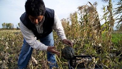 Cambio Rural: Hasta el 30 de junio se deben registrar los grupos beneficiarios