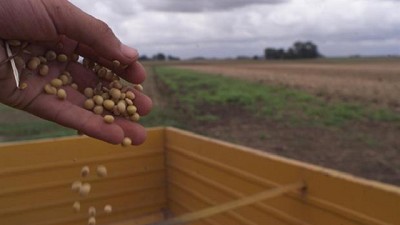 El atraso en la comercialización de la soja ya impacta en los volúmenes exportados de harina y de aceite