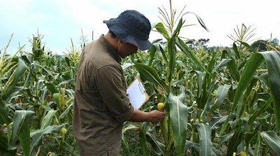 Alquileres: una puja para la nueva campaña con las inundaciones de fondo