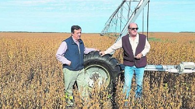 Con riego, crece la agricultura en las puertas de la Patagonia