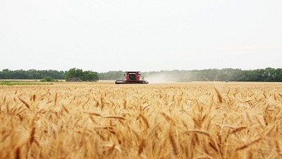 El gozne de la campaña cerealera 2017/18 - BCR