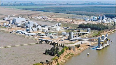 Bancos internacionales financiarán expansión de la aceitera Renova