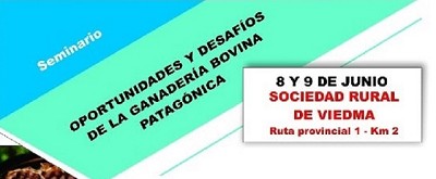 Seminario. Oportunidades y desafíos de la ganadería bovina Patagonica
