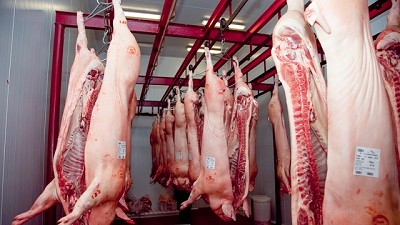 Por primera vez en la historia Argentina exporta media res de cerdo a Rusia