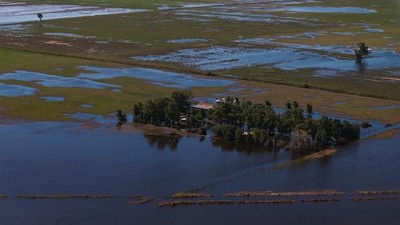 Trigo: por los excesos hídricos podrían dejar de sembrarse 100.000 hectáreas
