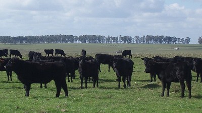 Estiman nuevas crecidas para los ríos Paraná y Uruguay
