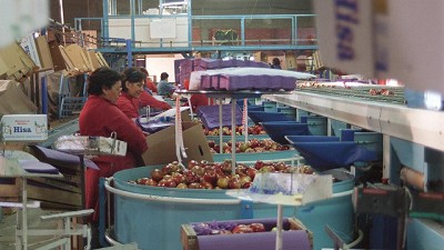 Economías regionales: afirman que tienen un problema de costos antes que de precios