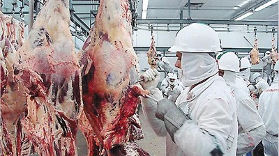 La faena bovina volvió a crecer en mayo y confirmó la recuperación