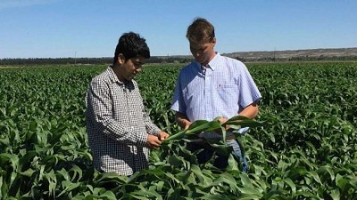 Planificar y monitorear, las claves para defender los rendimientos