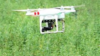 Cuáles son los nuevos puestos de trabajo que demanda el agro, por Christian Zechner