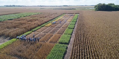 Nidera Semillas apuesta todo a los equipos técnicos de su RED IN