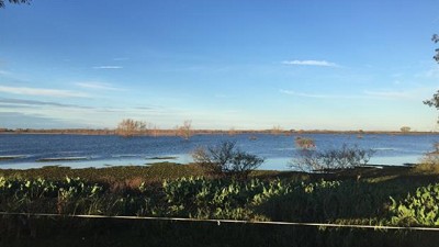 Delta entrerriano: alertan por nuevas crecientes que afectarán a la producción