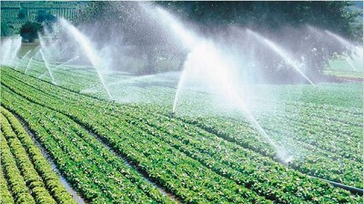 Empresas israelíes apuestan a crecer en el agro argentino