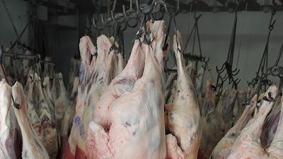 Continúan los controles en frigoríficos porcinos y se suspendieron tres establecimientos