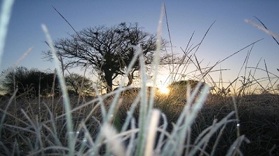 Se espera un fin de semana con bajas temperaturas