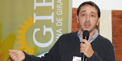El girasol podría crecer un 35% en el Chaco