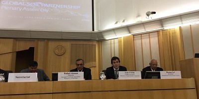 Activa participación en la 