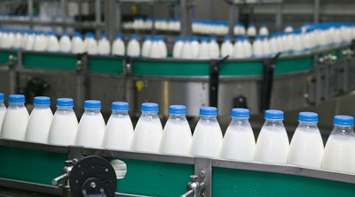 Por qué el precio de la leche varía tanto desde el tambo a la mesa