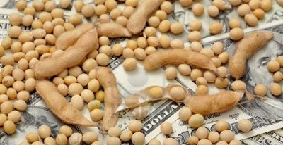 El Senado paraguayo aprobó un 10% de retenciones a la soja y cortan rutas en protesta