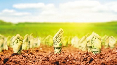 Llegaron las inversiones: a qué segmentos del campo fueron los dólares