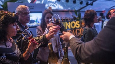 Por mérito propio, los vinos patagónicos buscan su lugar en el mundo