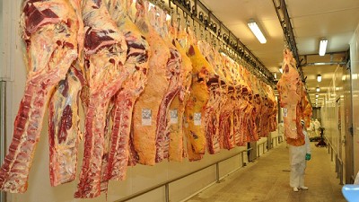 La Provincia regulariza situación impositiva de establecimientos faenadores bonaerenses