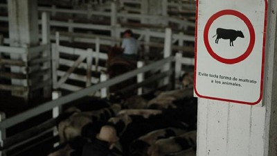 Fue muy escasa la entrada de hacienda en el Mercado de Liniers