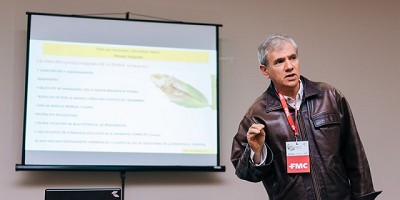 Mantener la calidad en el cultivo de Garbanzos