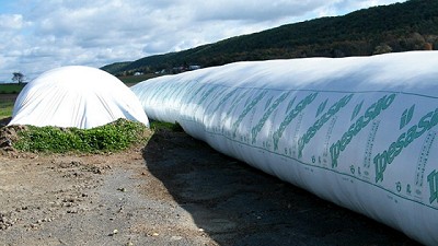 Una firma local saca partido de la súper cosecha de Brasil