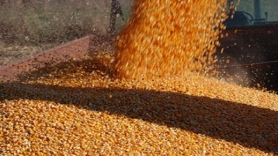 Granos: lo que el ciberataque global no pudo derrotar