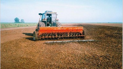 En plena siembra, las ventas adelantadas de trigo marcan récord
