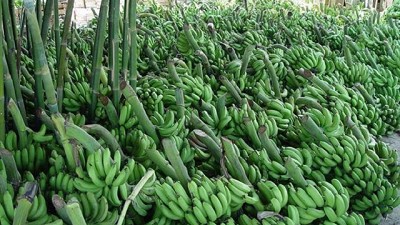 Cómo va a ser en Formosa el 