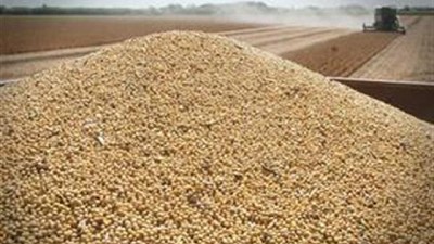 El Inase analizará la soja de quienes no declararon el origen de su semilla
