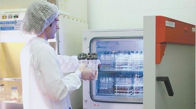Reglamentan la Ley de Biotecnología y dan beneficios tributarios a la actividad