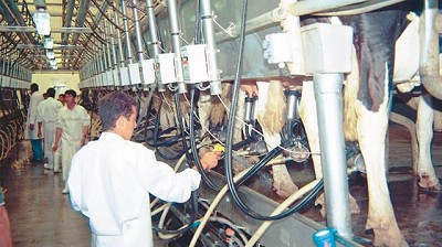 Por la suba de los precios, San Luis lanza su propia marca de leche social