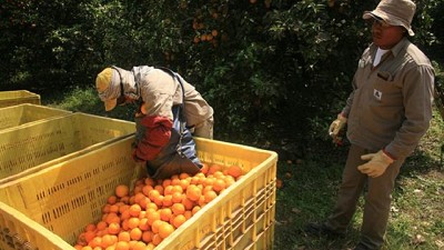 Las economías regionales reclamaron una reforma tributaria