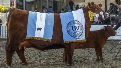 Se viene la Semana de la Carne en la Exposición Rural
