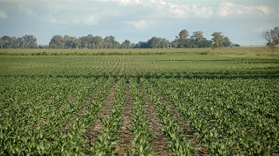 Buscan impulsar acuerdos de competitividad en el agro