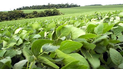 Volatilidad, marca registrada del mercado climático, por Diego de la Puente