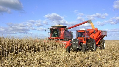 Se atrasó la trilla de maíz de segunda y preocupan los problemas sanitarios