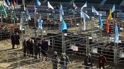 Stands con una mayor inversión y cabañeros con viento de cola