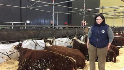 Las cabañas destacan la suba de precios de los toros