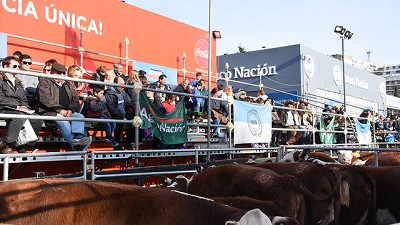 Remates de vaquillonas seleccionadas: todos los eslabones de la cría, en Palermo