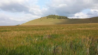 Cómo es la agricultura en Kenia y cuáles son las oportunidades de negocios, por Sebastián Gavaldá
