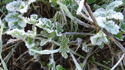 Después de los temperaturas extremas, ¿qué se espera para esta semana?