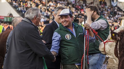 Limangus en Palermo: El mejor remate de la historia de la raza